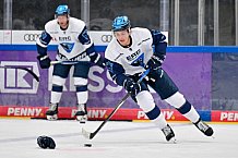Eishockey, Herren, DEL, Saison 2025-2026, ERC Ingolstadt - Training, 04.08.2025